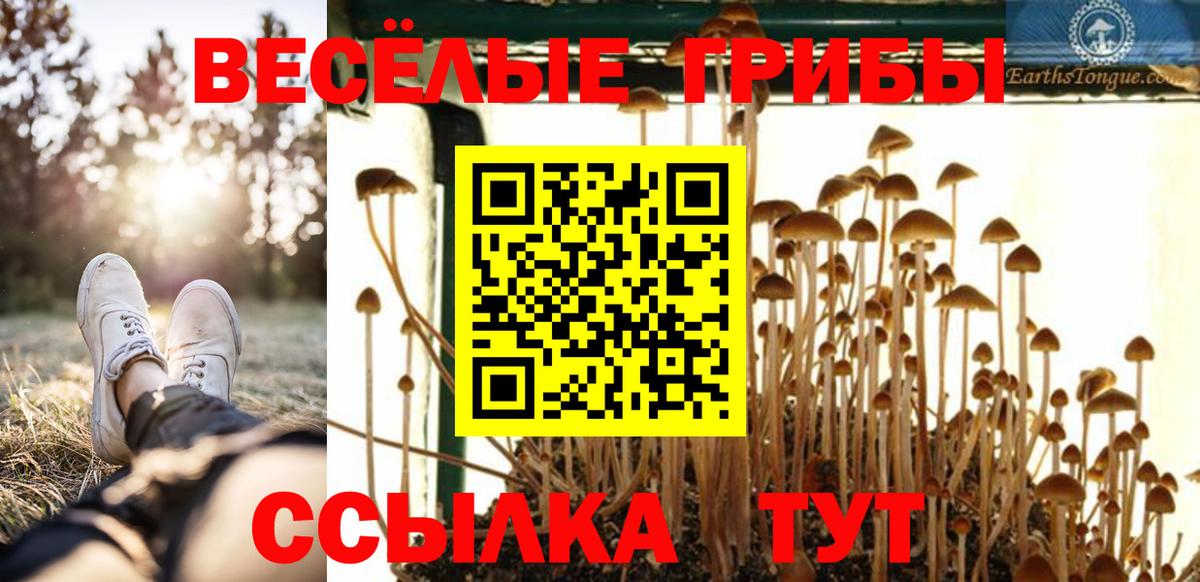 Галлюциногенные грибы Psilocybine cubensis Урюпинск