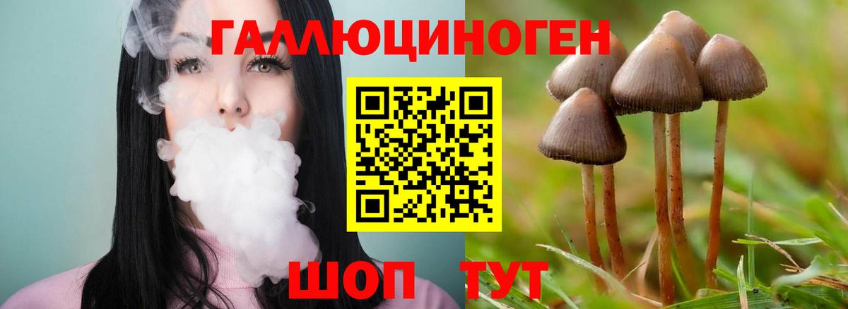 Галлюциногенные грибы Psilocybe  Вход с VPN  Урюпинск 
